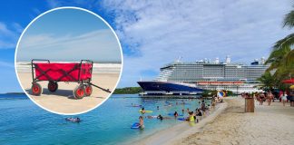 Carnival Cruise Line changes rule on collapsible wagons