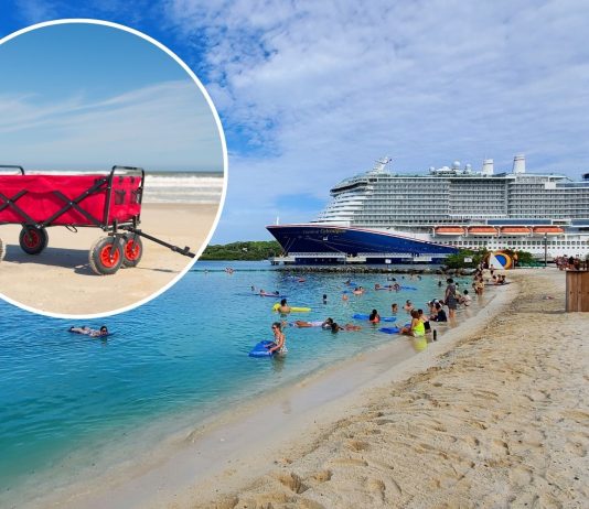 Carnival Cruise Line changes rule on collapsible wagons