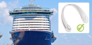 Carnival Cruise Line clarifies fan rule