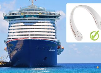 Carnival Cruise Line clarifies fan rule
