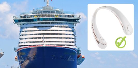 Carnival Cruise Line clarifies fan rule