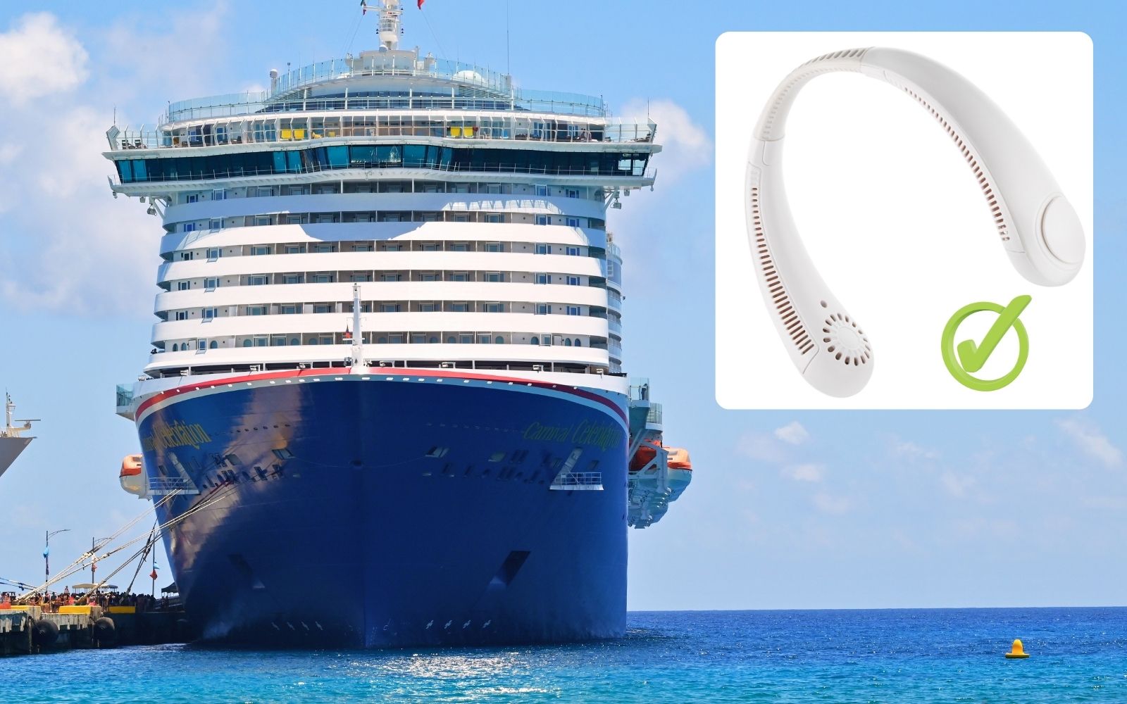 Carnival Cruise Line clarifies fan rule