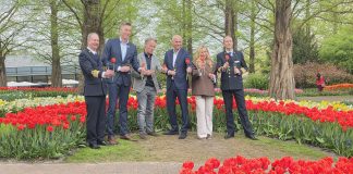 Holland America Line Names New Tulip, Savour the Journey tulip