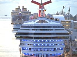 Cruise ships docked in PortMiami