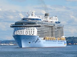 Ovation of the Seas cruise ship