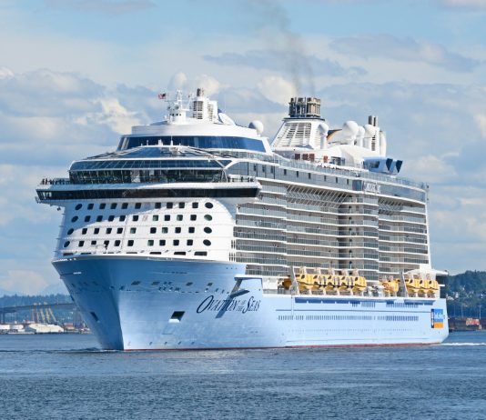 Dead Whale Found on Bow of Ovation of the Seas in Alaska as Investigation Begins Ovation of the Seas cruise ship
