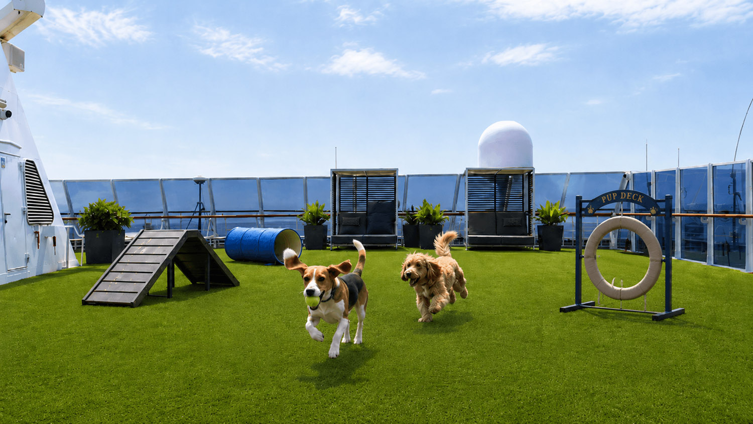 Villa Vie pets