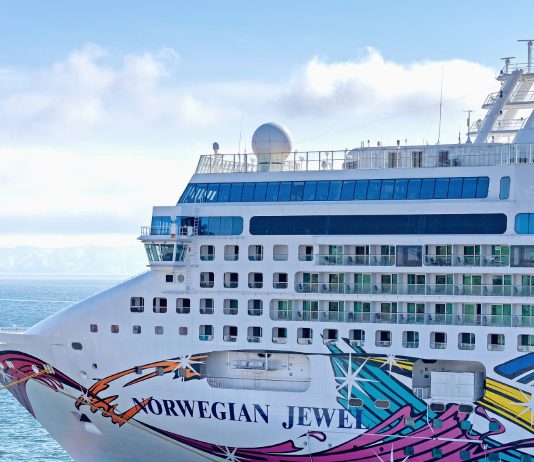 Charleston Cruise Terminal Says Goodbye to Cruise Ships for Good as Norwegian Jewel Sails Away Norwegian Jewel Cruise Ship docked