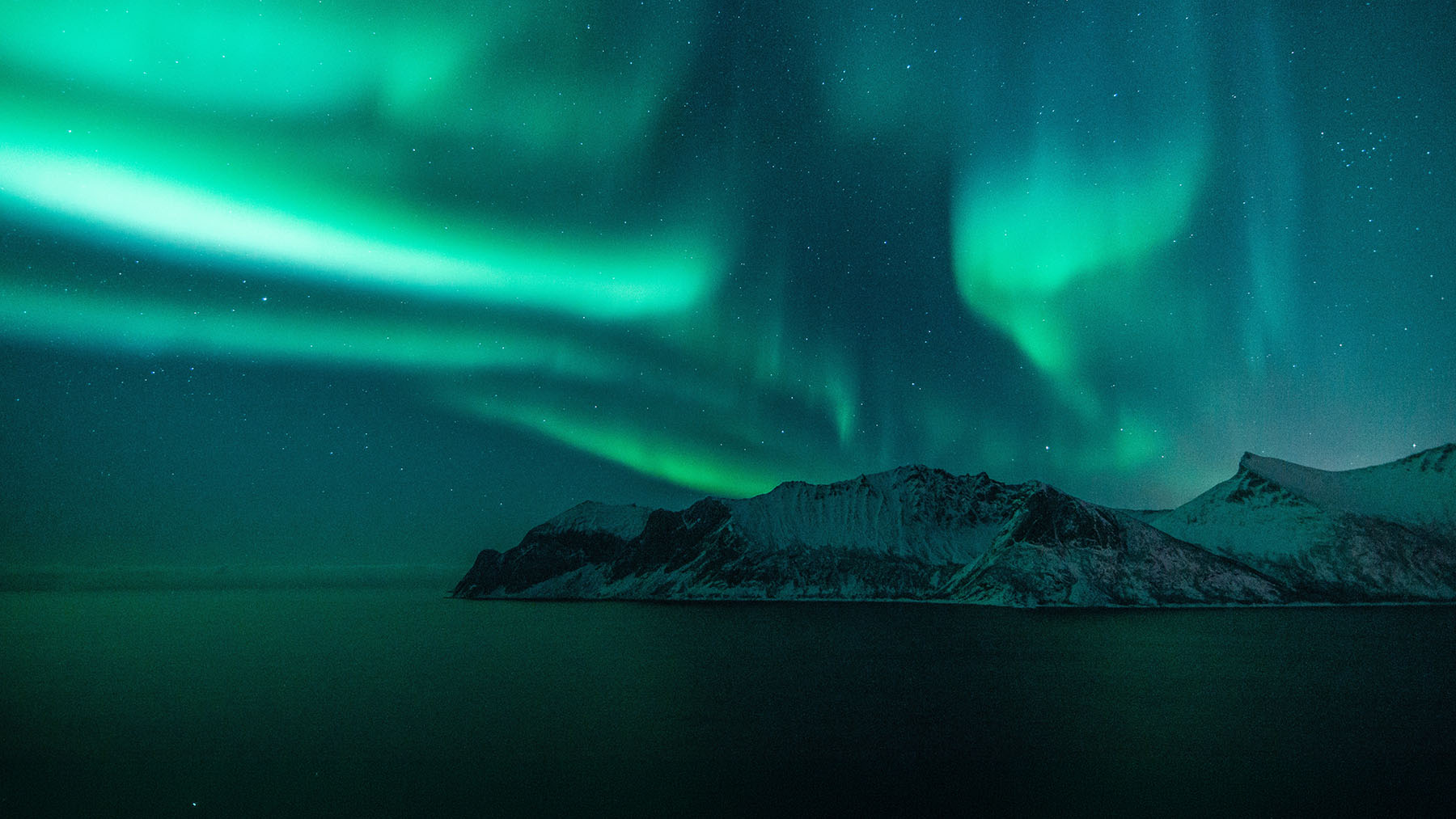 Northern Lights