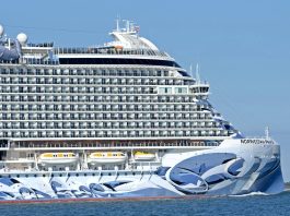 Hot Tubs Closed: Norwegian Prima Probes 3 Legionnaires’ Cases After 99 CDC Score in June Norwegian Prima cruise ship