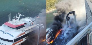 Norwegian Jade crew fight fire on Whittier dock