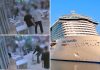 Fight on Costa Smeralda