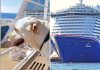 Service dog on cruise ship