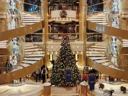 Discovery Princess