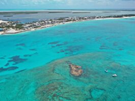 North Bimini