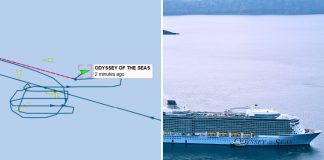 Female passenger overboard on Odyssey of the Seas