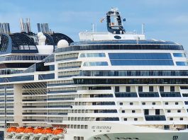 Royal Caribbean and MSC Cruises Start Construction on New Cruise Terminal MSC Cruise ship