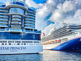 3 Carnival Cruise Lines Donate to Hurricane Recovery Efforts in Hawai’i Carnival and princess cruise ships