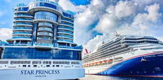 Carnival and princess cruise ships